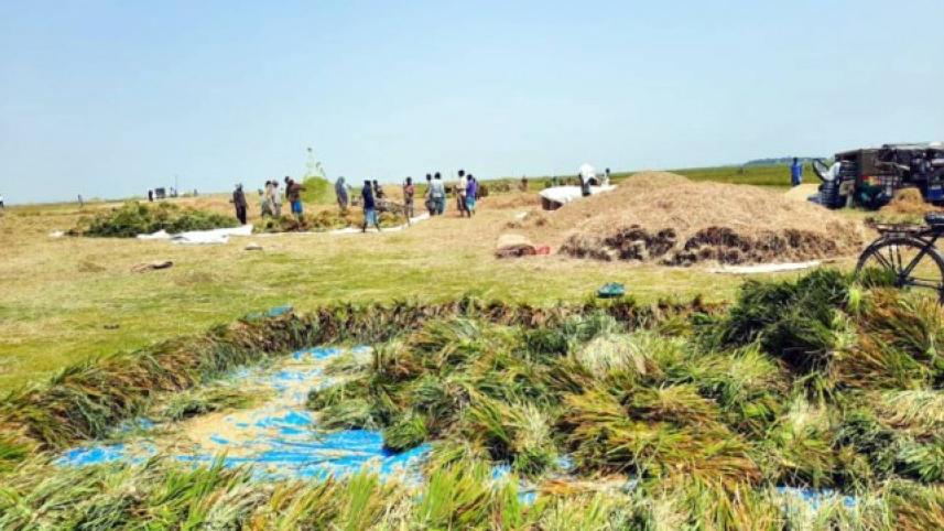 netrakona_haor_farmers.jpg