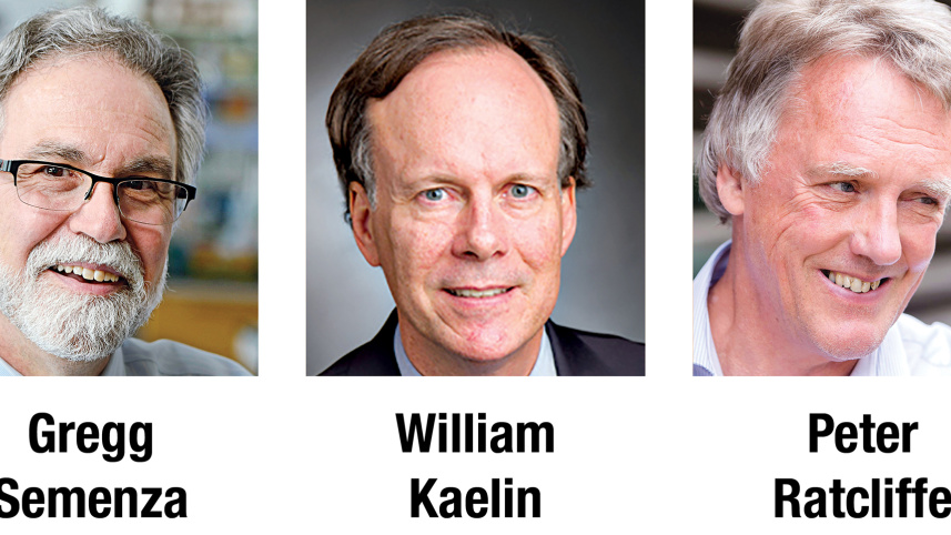 nobel trio.jpg