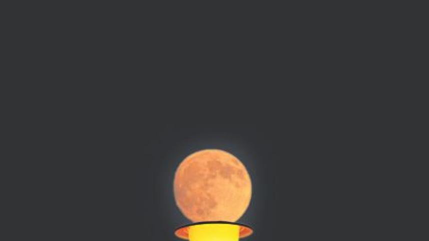 Nocturnal