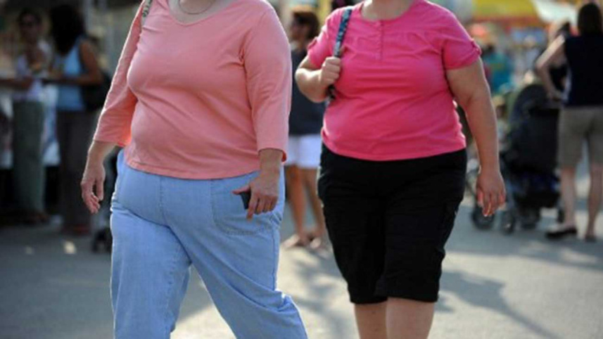 Obese-1WB.jpg