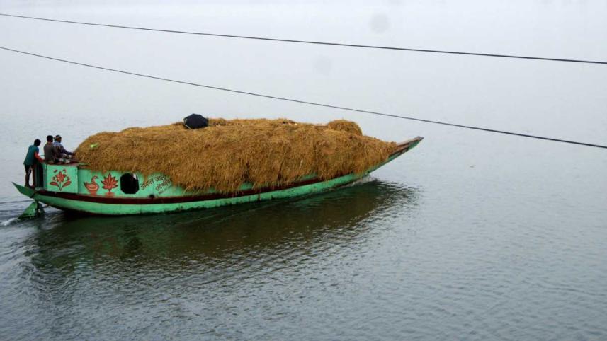 Of rats and rains