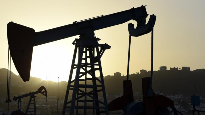 oil-1.jpg