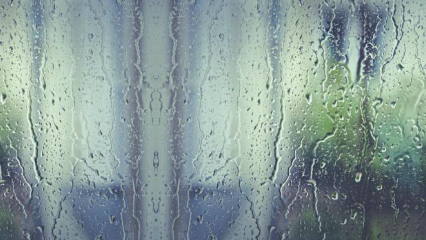 On my window pane