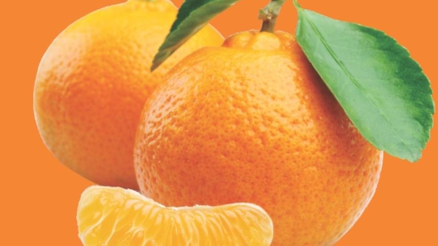 orange.jpg