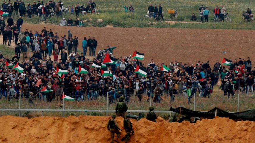Palestinian