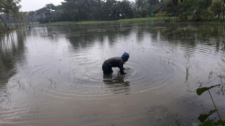 Patuakhali.jpg