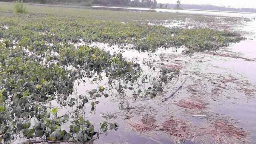 Patuakhali.JPG