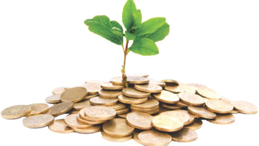 penny tree