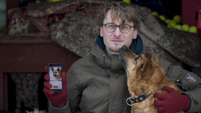 Dog lover app