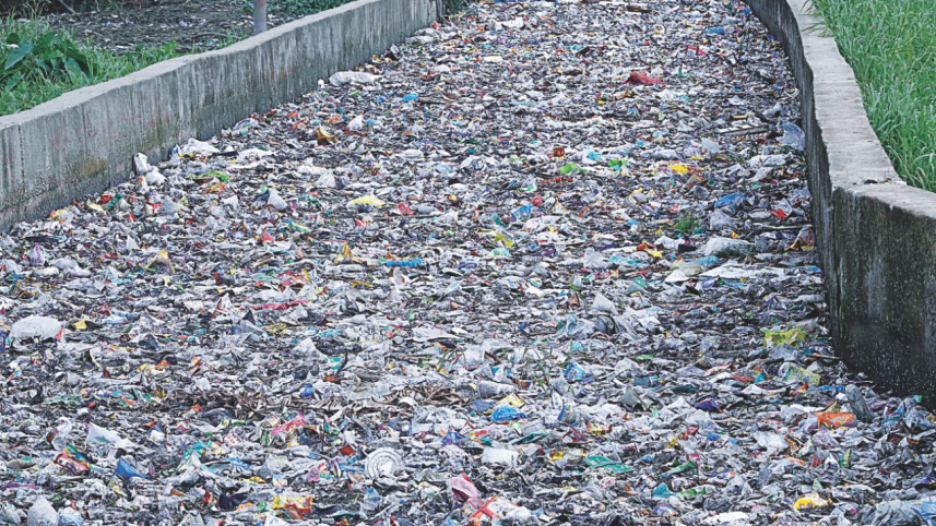 polybags.jpg