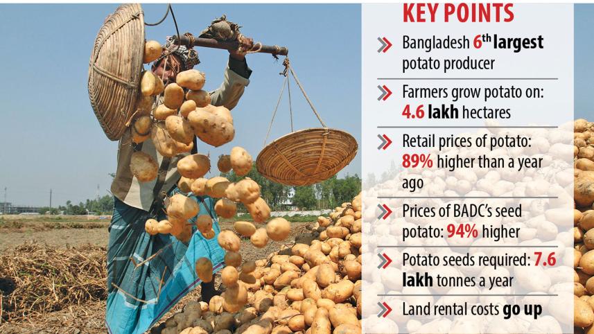 potato-farmer.jpg