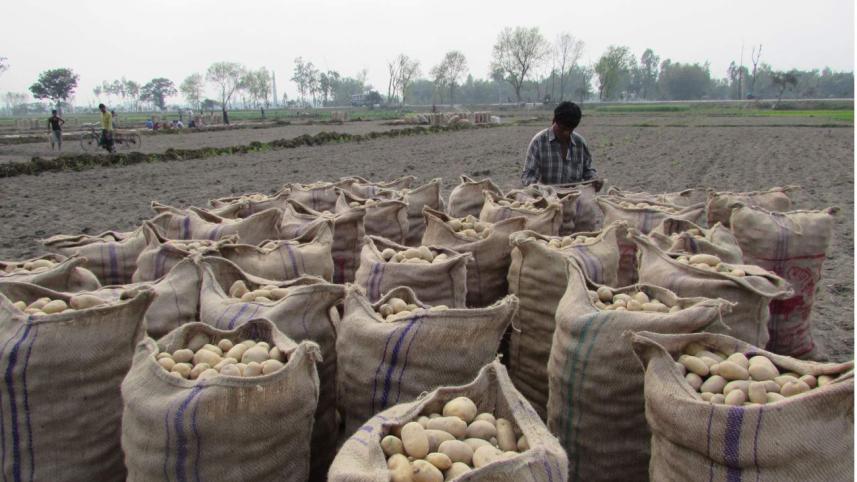 Potatoes