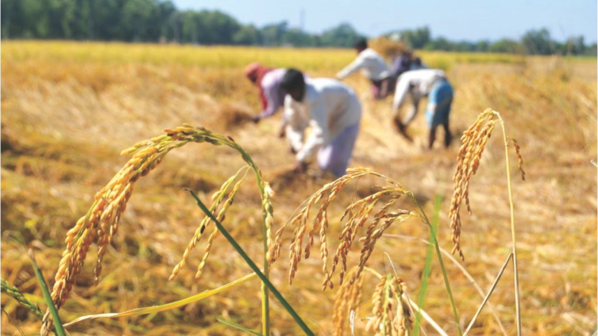 harvest