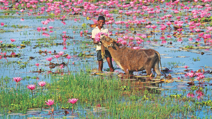 Pronov Ghosh