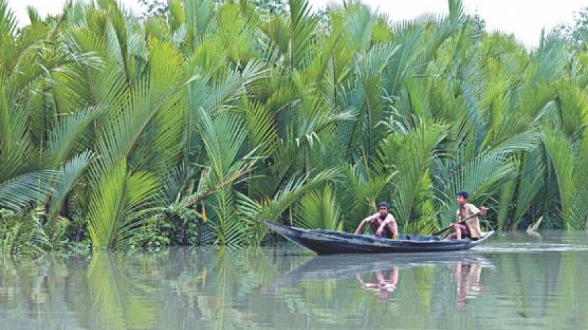 protecting_sundarbans.jpg