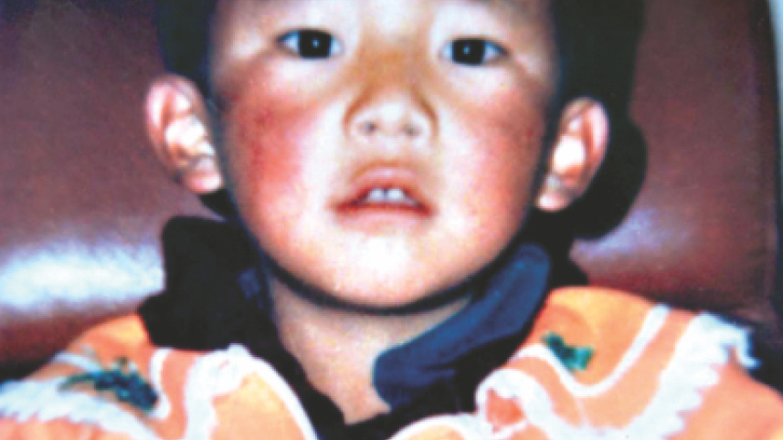 punchen lama.jpg