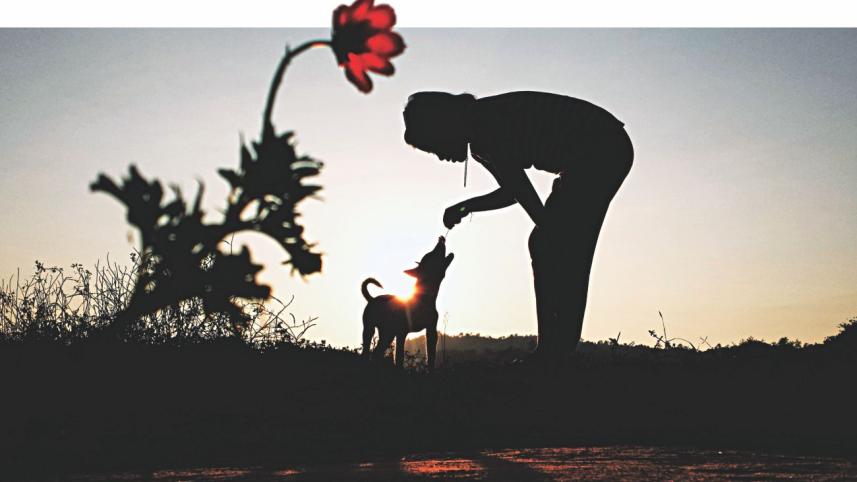 Puppy's Flower