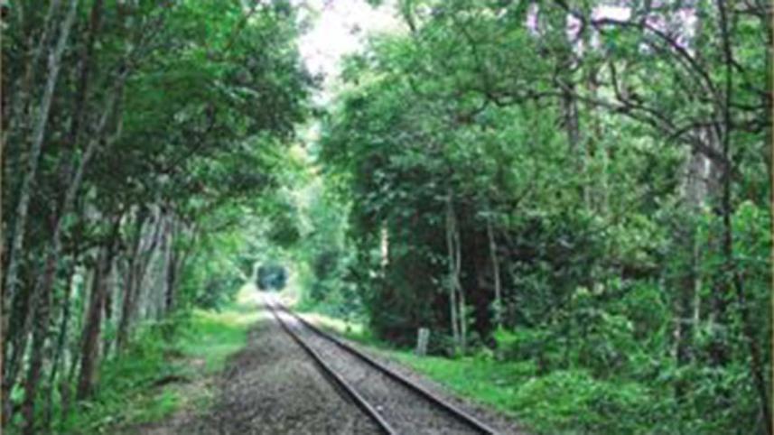 Rail-lineWB.jpg