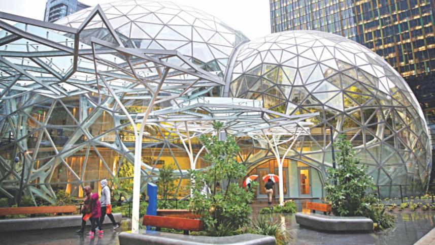 Amazon rainforest
