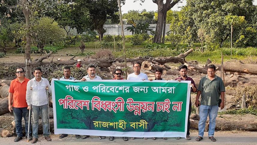 Rajshahi trees.jpg