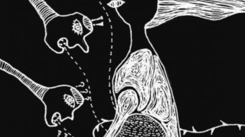 Reproduction