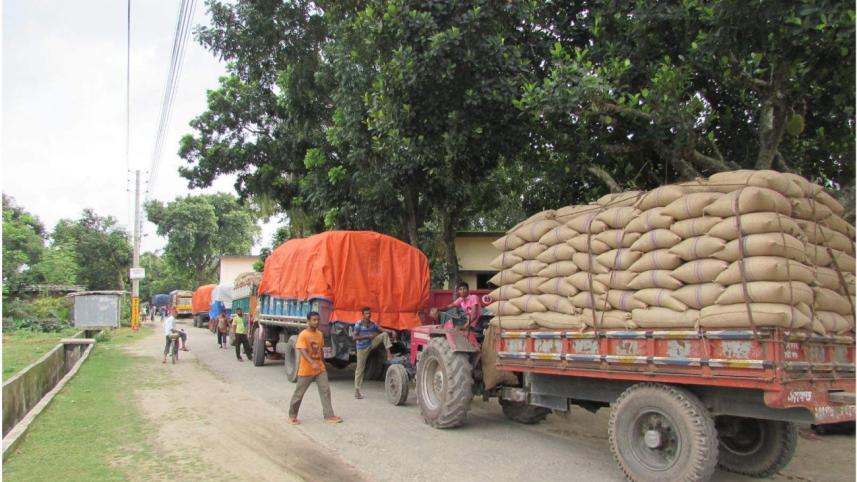 rice-procurement.jpg