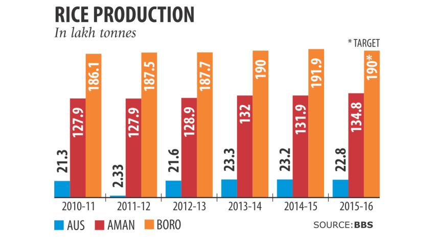 Rice Production.jpg