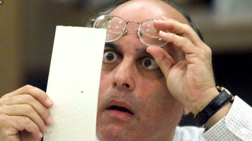 rinky-dink-democracy.jpg