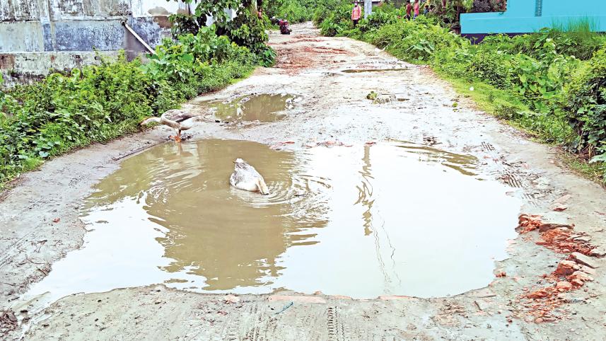 road1.jpg