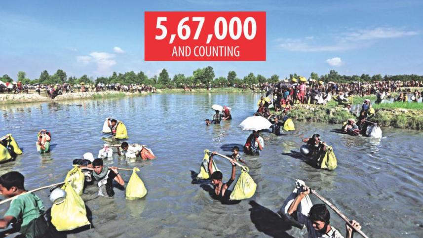 Rohingya