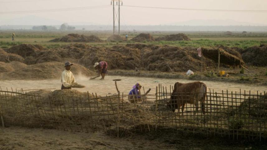 Rohingya Refugees