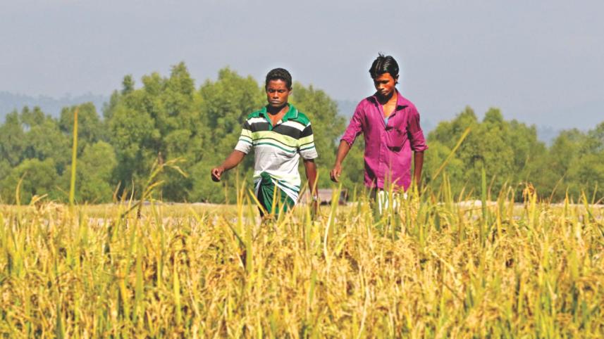 rohingyas crossing border.jpg
