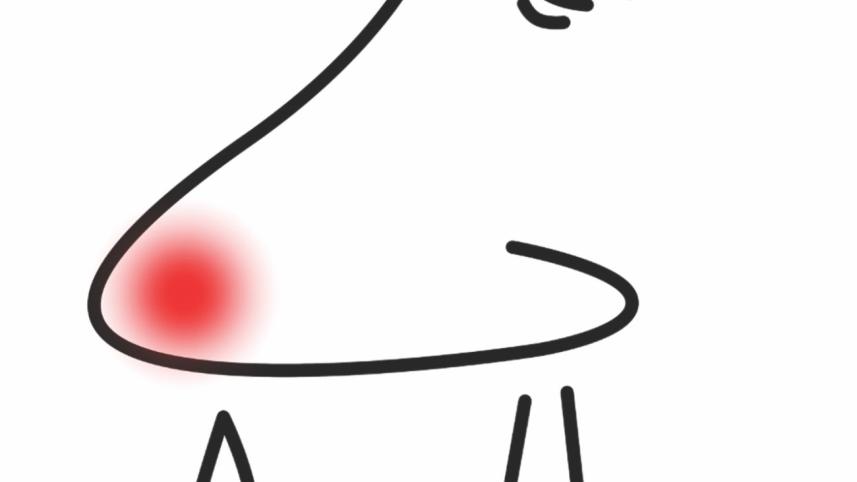 Runny Nose