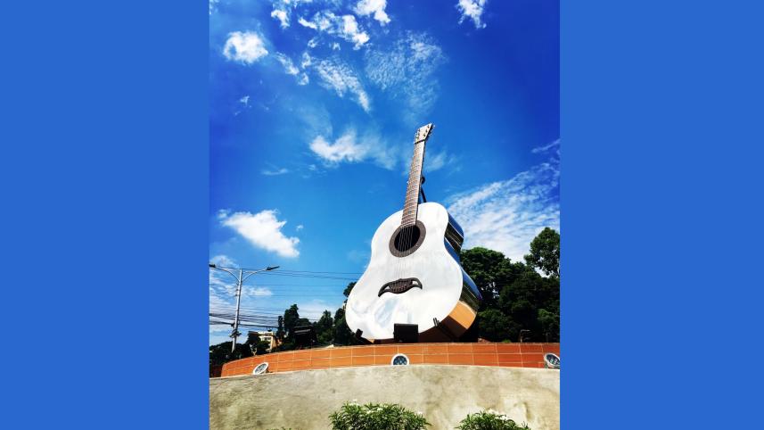 RUPALI GUITAR.jpg