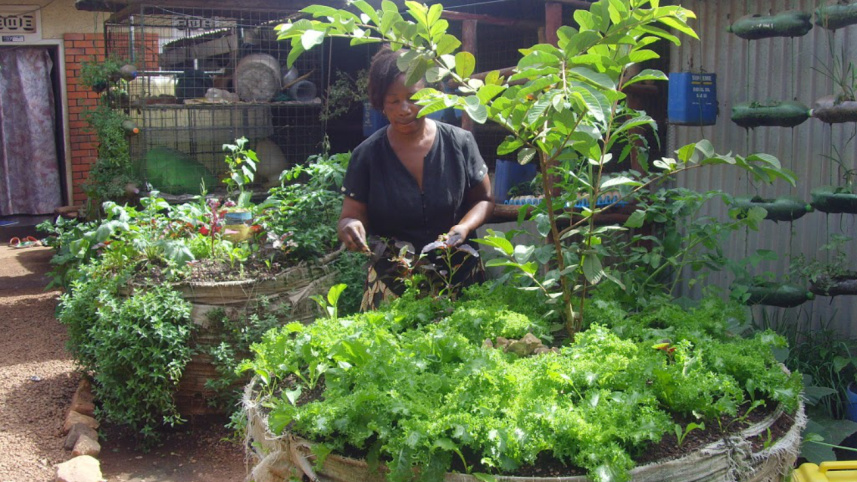 Sack farms 1.jpg