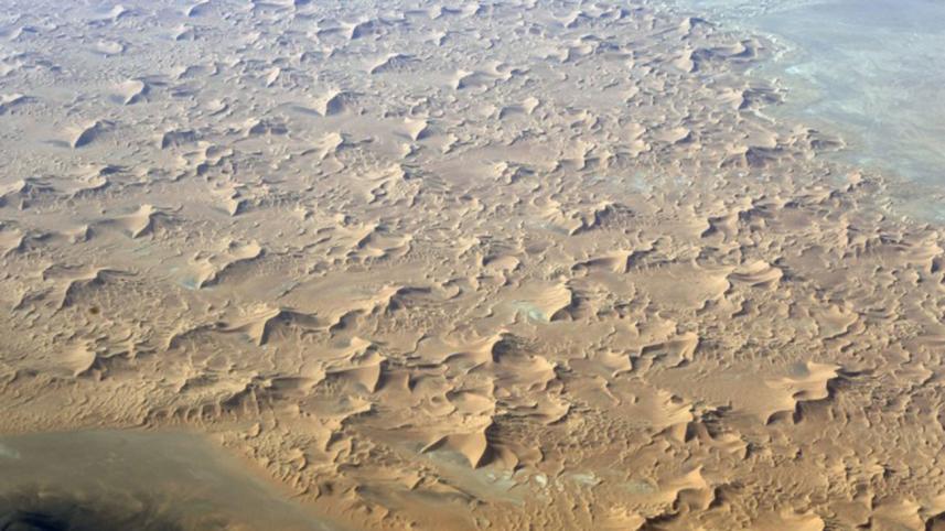 sahara-web.jpg