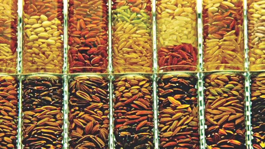Sample seeds.jpg