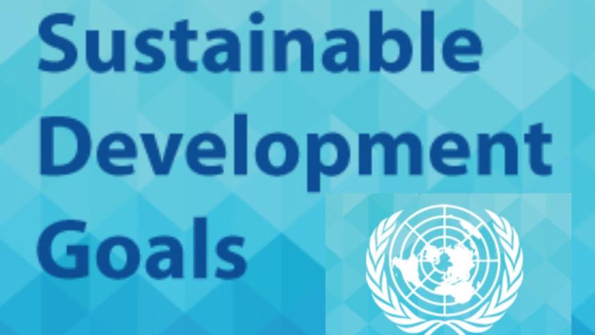 sdg-goal.jpg