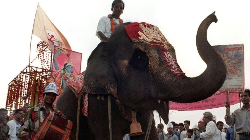 Elephant Rides