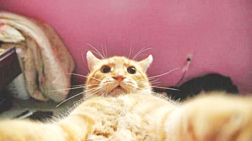 Selfie Etiquette