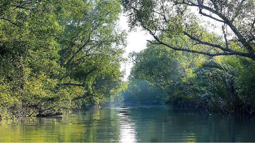 shela river new.jpg