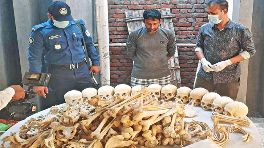 skeleton-smuggling.jpg