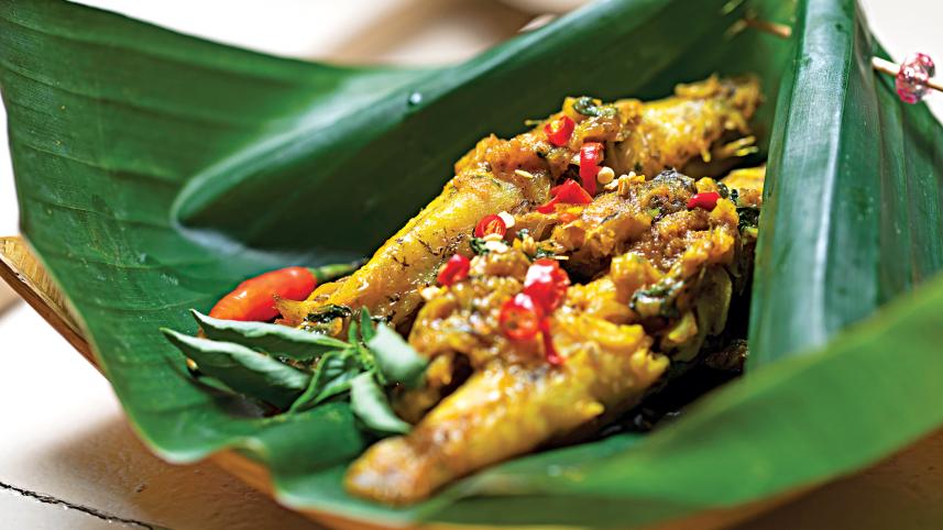 small-fishes1.jpg