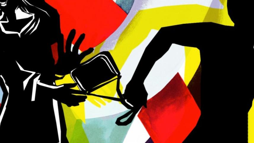 Snatching logo.jpg