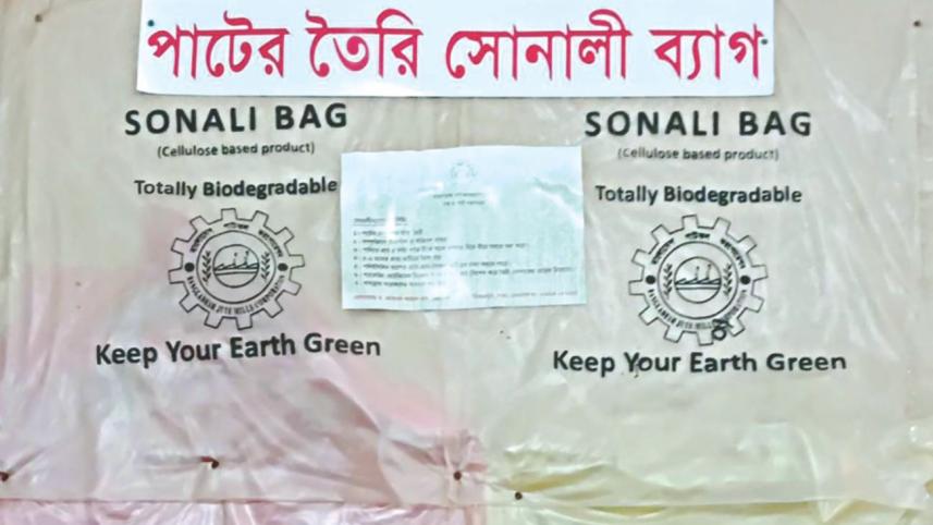 Sonali bag