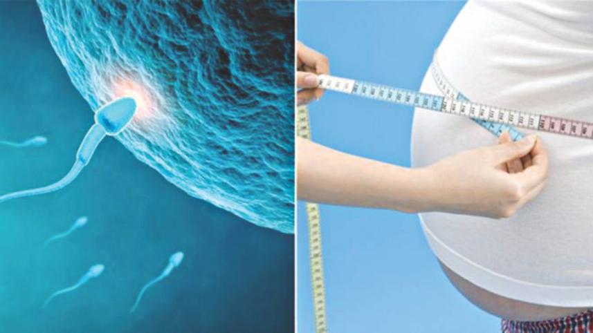 sperm cells.jpg