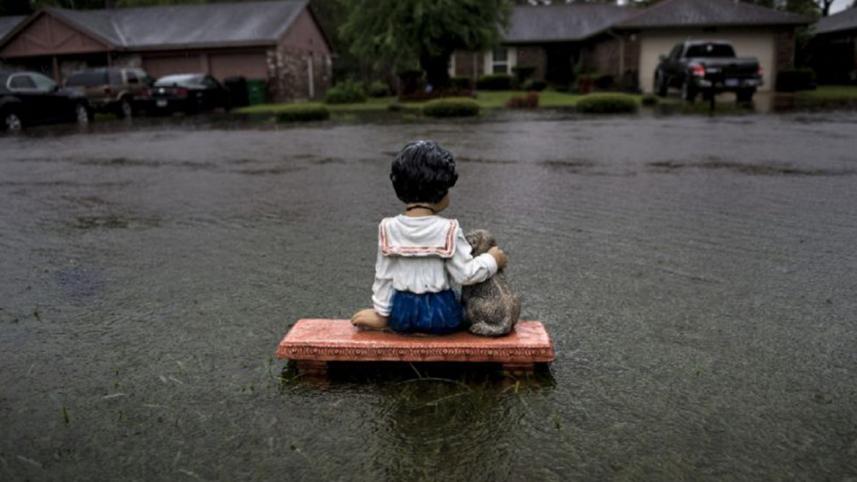 Storm-Harvey-wb.jpg