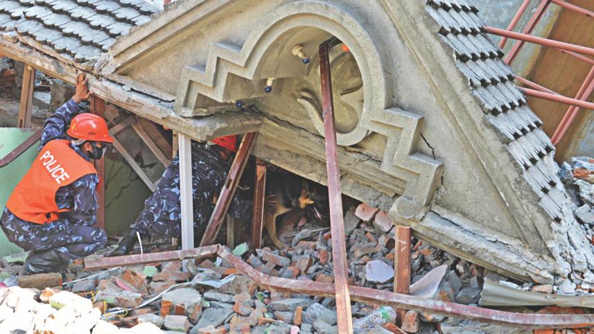strong-quake.jpg