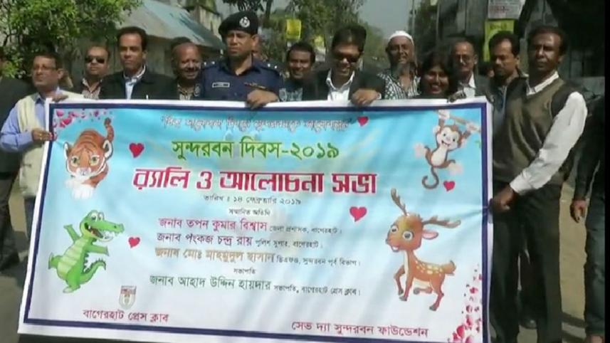 Sundarbans Day 2019