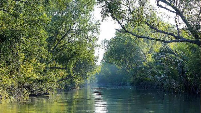 Sundarbans
